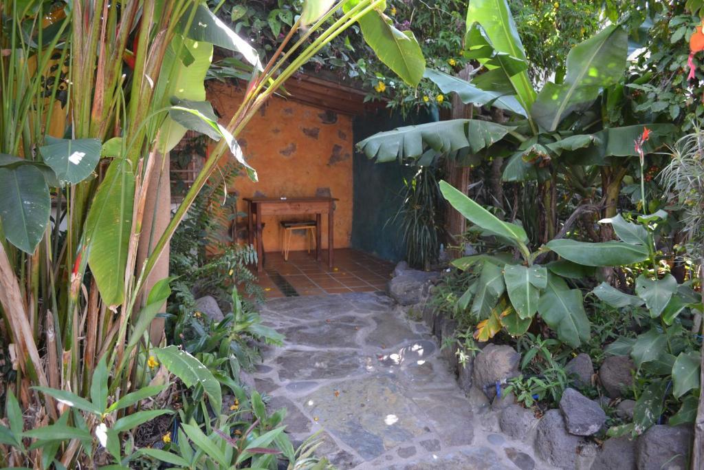 El Porvenir Hostel Los Llanos De Aridane Kamer foto