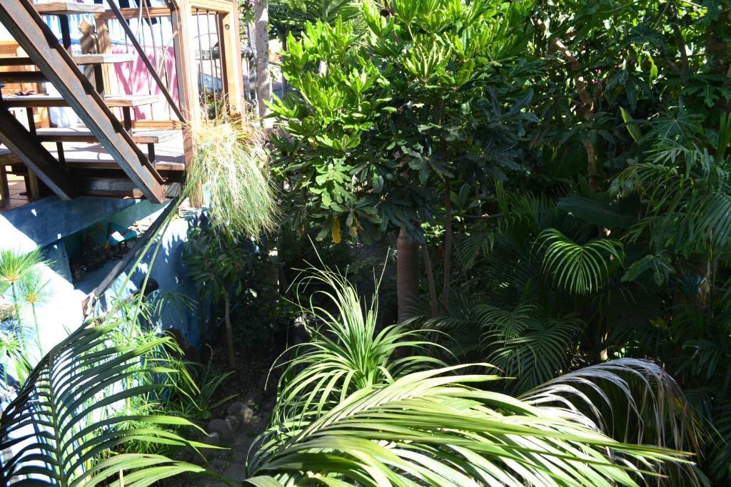 El Porvenir Hostel Los Llanos De Aridane Buitenkant foto